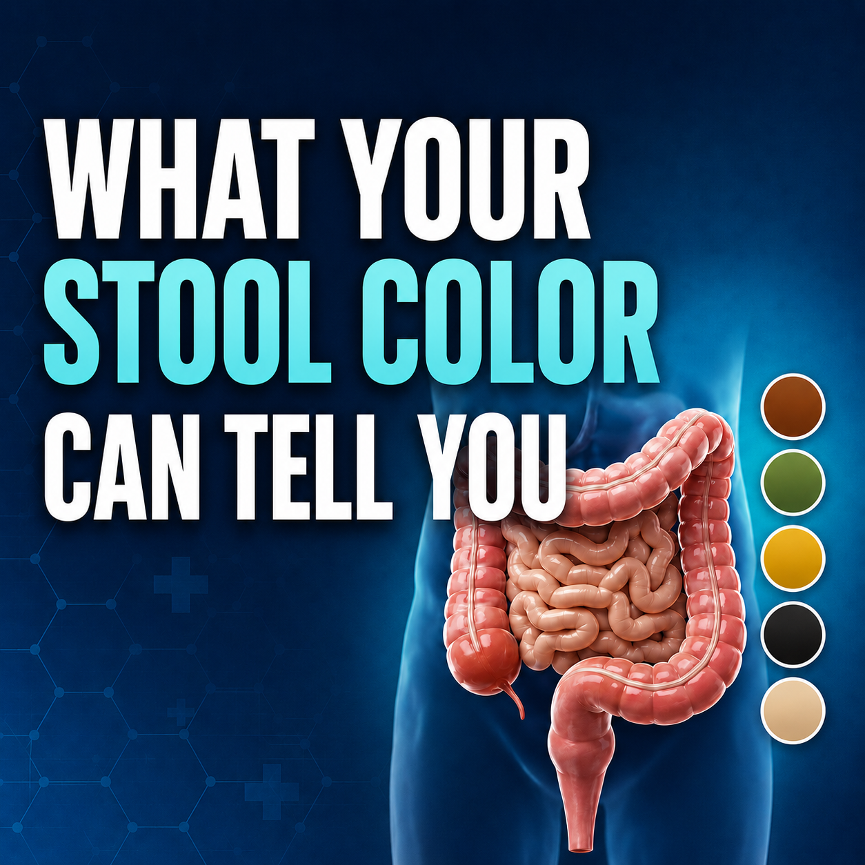 What Your Stool Color Can Tell You | Ecura Health What Your Stool Color Can Tell You | Ecura Health