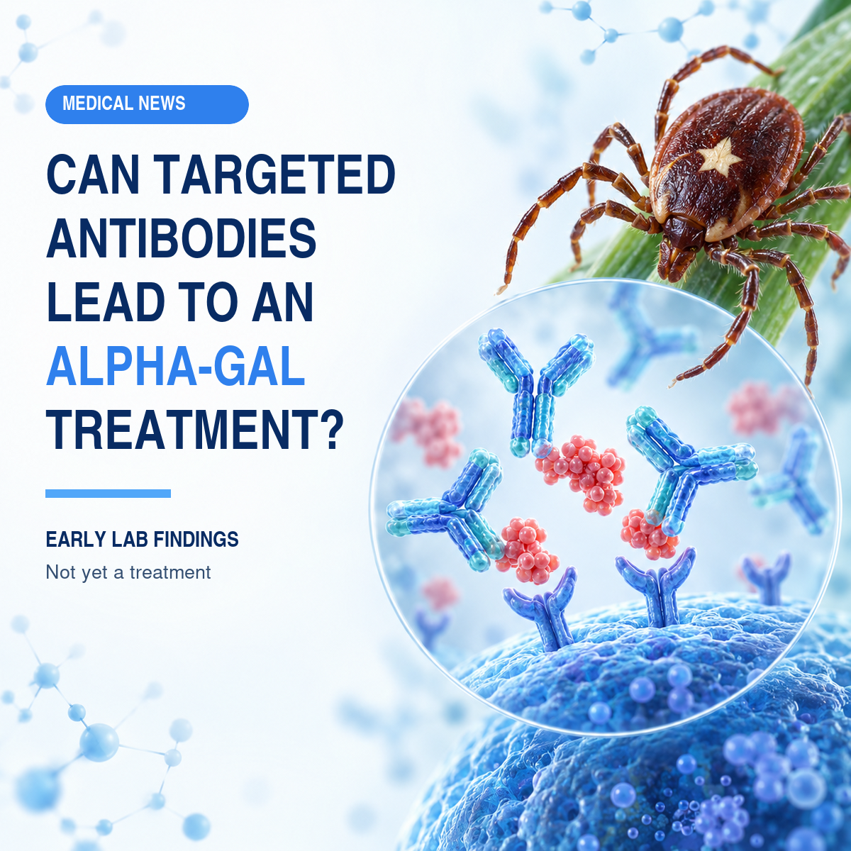 mn 20260904 002 alpha gal targeted antibodies thumbnail